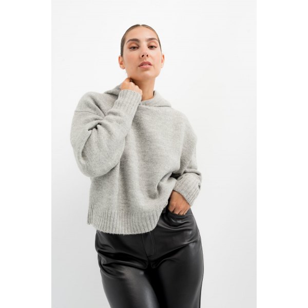 Pull Hoodi gris
